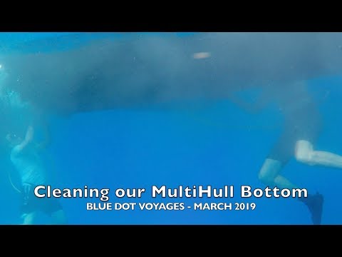 Cleaning the bottom of our Catamaran Multihull - Don't swallow! EP25