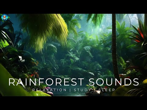 8 HOURS: Immersive Rainforest Sounds for Deep Relaxation, Study & Sleep