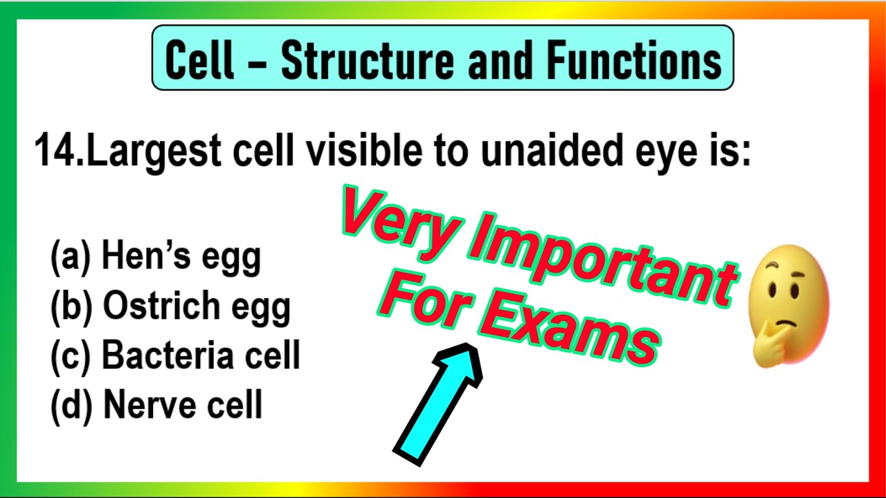 Class 8 Cell Structure & Function Ch-8 Mcq | Cell Structure & Function Important Mcqs Questions