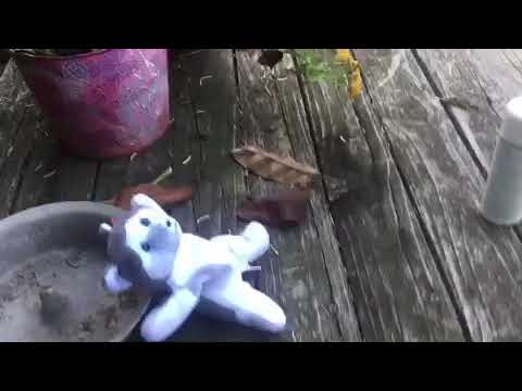 SFB Movie The Proactive Behind The Scenes