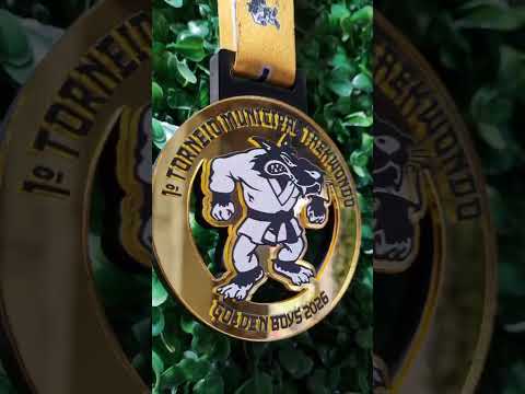 Taekwondo indiara-goias, medalha do Primeiro Torneio Municipal De Taekwondo 2026