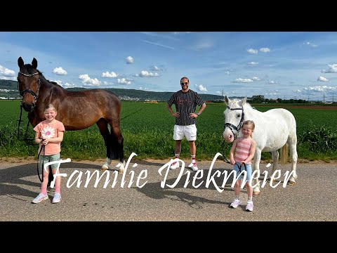 Our 2 new family members