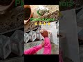 3D Marble Border Design