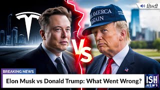 Elon Musk vs Donald Trump: Musk Launches 'America Party'