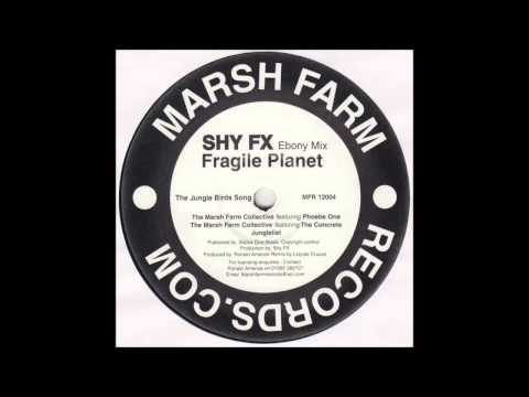 The Marsh Farm Collective - Fragile Planet (Shy FX Ebony Mix)