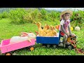 Bim Bim Takes Baby Rabbits And Duckling To Harvest Fruit