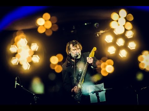 Daan - Icon (Music For Life 2016)