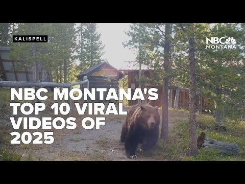 NBC Montana's Top 10 Viral Videos of 2025