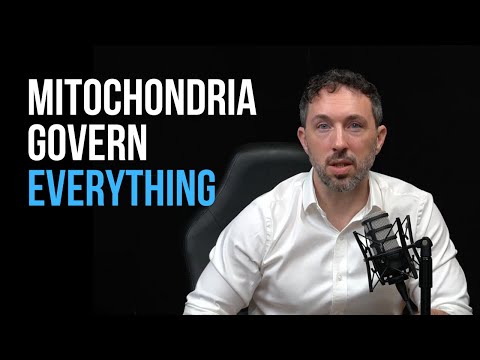 Mitochondria: Why They Control Everything in Human Health