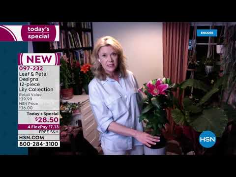 HSN | Outdoor Living 05.07.2021 - 03 AM