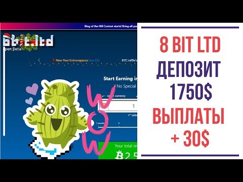 8bit ltd депозит 1750$ выплаты из проекта за неделю 30$