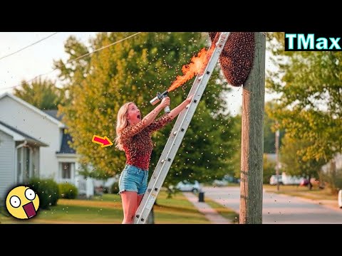 TOTAL IDIOTS AT WORK | Instant Regret Fails Compilation 2025 #194 | TRY NOT TO LAUGH CHALLENGE 😂