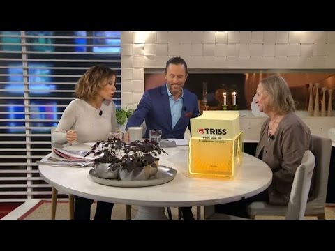 Triss: Pirrig svampentusiast sugen på ny lya - Nyhetsmorgon (TV4)
