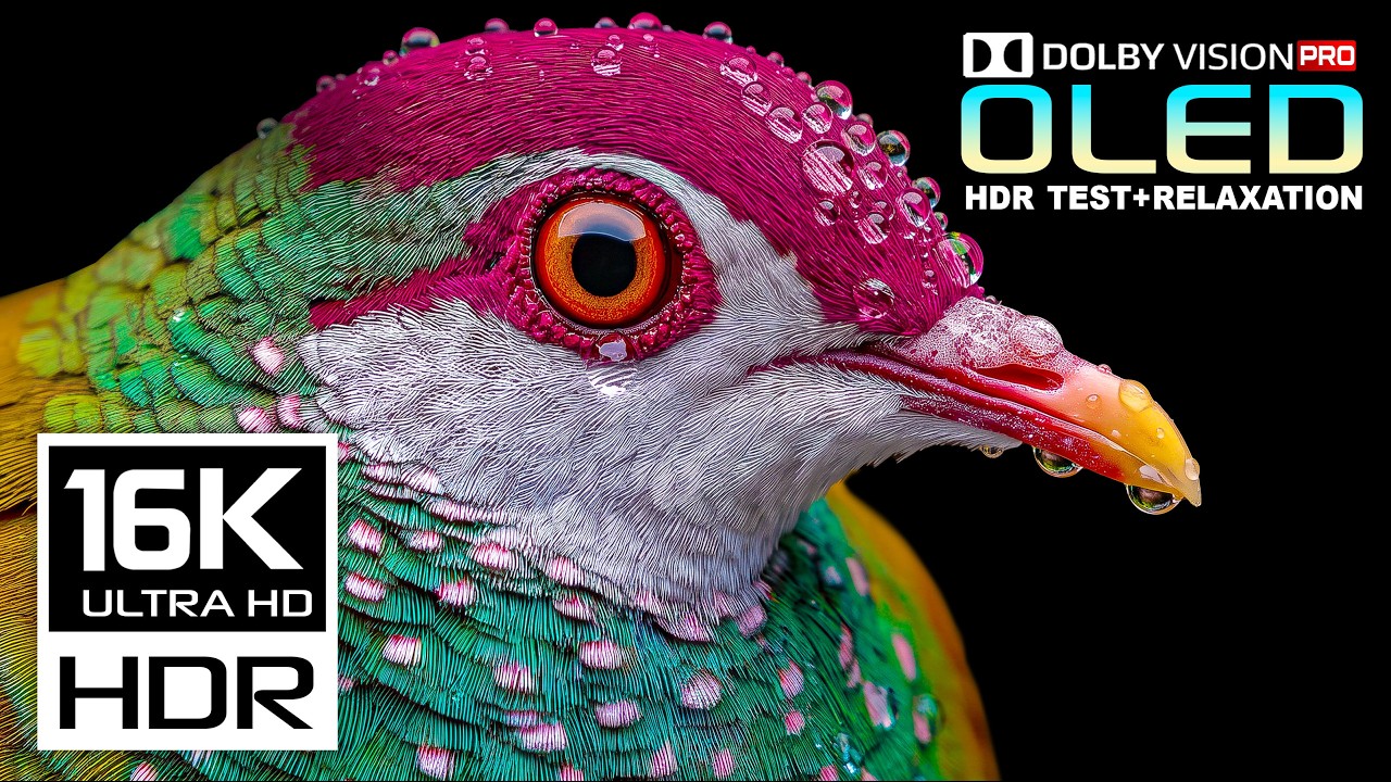 OLED TEST Nature Video for Display test | 16K Dolby Vision 120FPS | 8K Video | 4K Video ULTRA HD TV