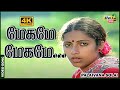 மேகமே மேகமே பால் நிலா தேயுதே Chandrasekhar Janakaraj