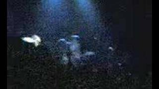 Babyshambles - Loyalty Song