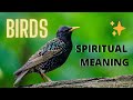 BIRDS SYMBOLISM The Spiritual Meaning Of Birds