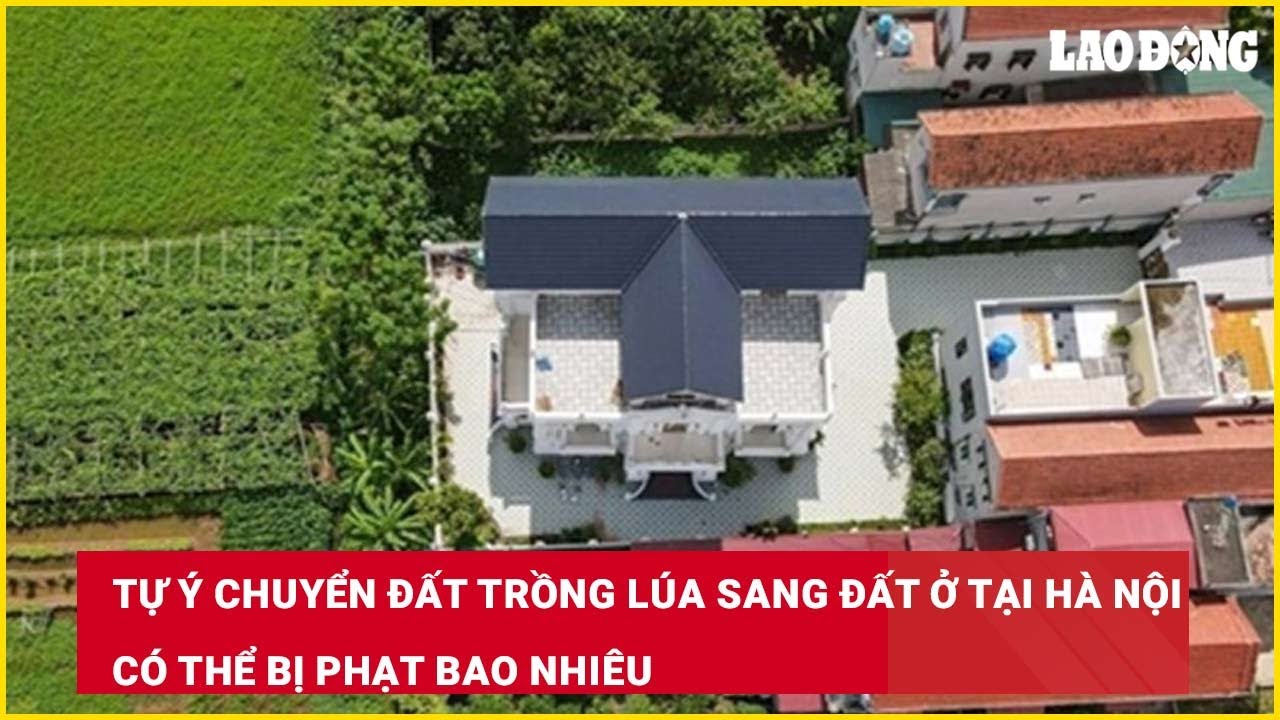 Tự ý chuyển đất trồng lúa sang đất ở tại Hà Nội có thể bị phạt bao nhiêu?