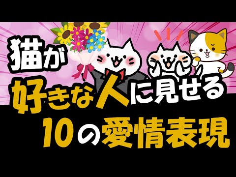 猫は飼い主を恋しく思いますか?