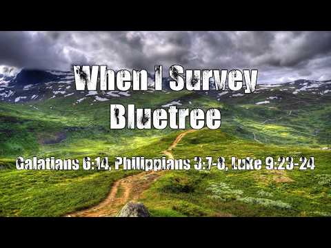 When I Survey - Bluetree