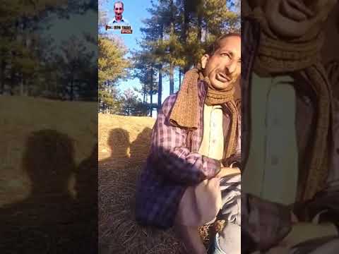 #kashmiri #masir #full laim #funny