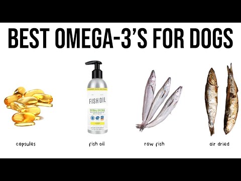 BEST Omega-3's for dogs