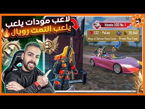 رجعت العب التمت رويال وانصدمت