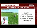 டெல்டா மாவட்டங்களில் சம்பா சாகுபடி த
