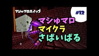 突然にネザー編へ③【マイクラ】#12