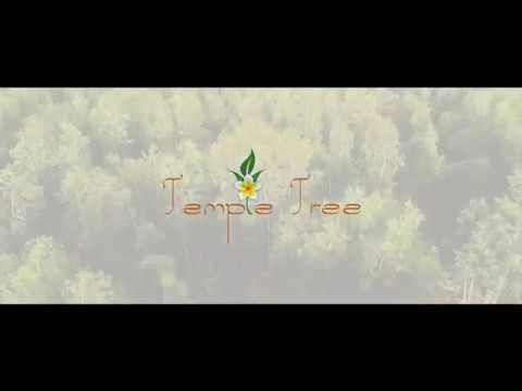 3D Tour Of Vensai Temple Tree