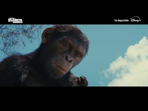 Ya disponible en Disney+