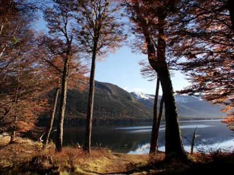 Grito De Silêncio - Rebanhão