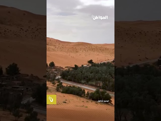 أجواء المنسف شمال ‎الزلفي تكتسي الجمال بعد الأمطار