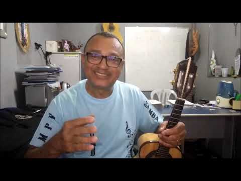 PEIXE DEMAIS PRO MEU SAMBURÁ   ARLINDO CRUZ   SAMBA DE RAIZ   CIA MUSICAL DE BANGU   PART  CIFRADA