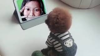 Download lagu Lagu aku lagi cari mama muda mp3 Download lagu Lagu aku lagi cari mama muda mp3