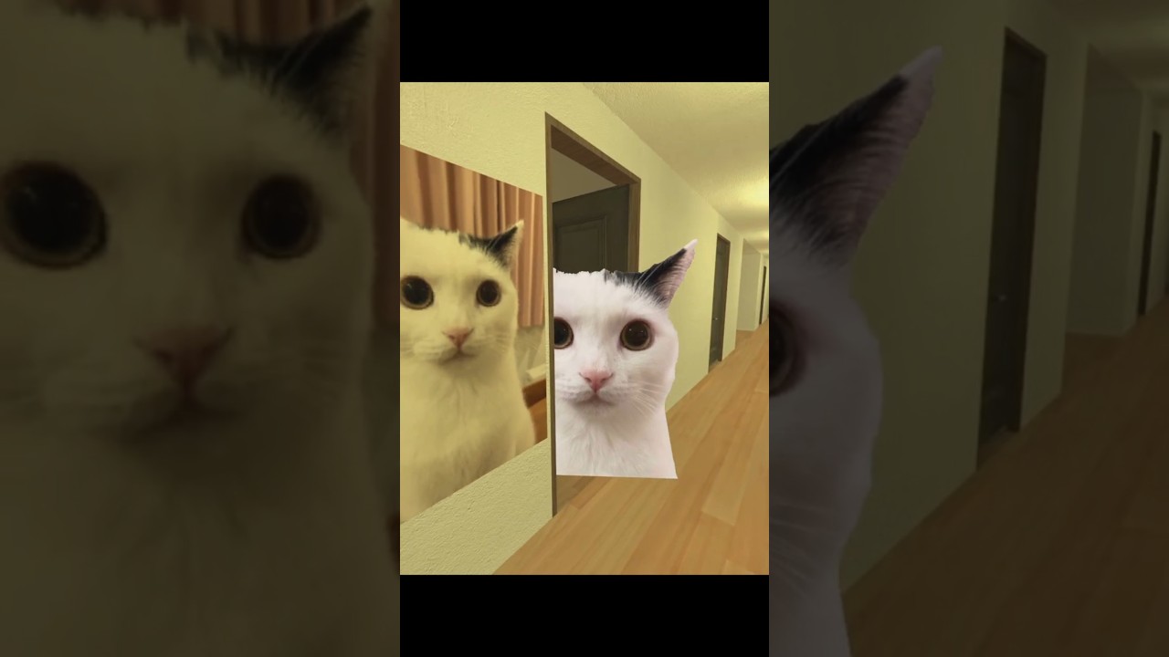 Cat Transformation 🛠️🐱 #gmod #shorts