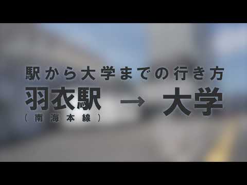羽衣国際大学への道のり