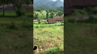 Download lagu story' WA || jangan lupa makan mp3