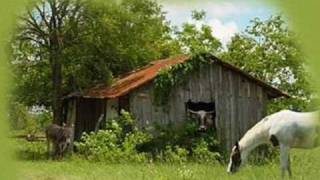 Chet Atkins "The Green Green Grass Of Home"