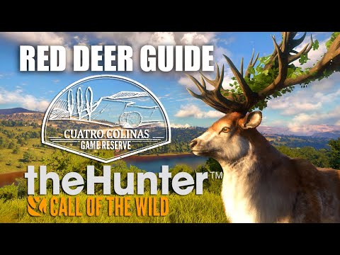 Red Deer Hunting Guide Colinas + GIVEAWAY :: theHunter: Call of the Media | Videos | Pictures