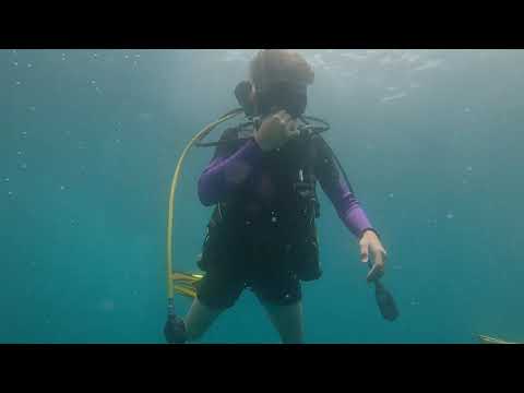 Palm Beach, FL Diving aboard the Narcosis.  7/1/2021