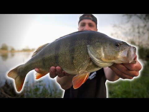 The BIG BASS rig!!! You'll always win big with the Texas rig!