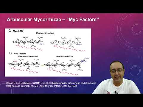Rhizosphere & Mycorrhizosphere | ASRB NET | Spartan Tutorials