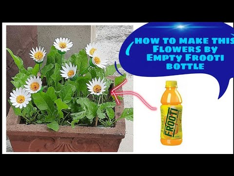 Beautiful flowers made by empty Frooti bottle 😃😃
