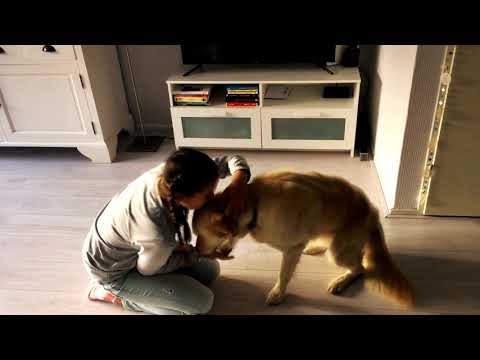 Georgie Davis - Hondenhemel