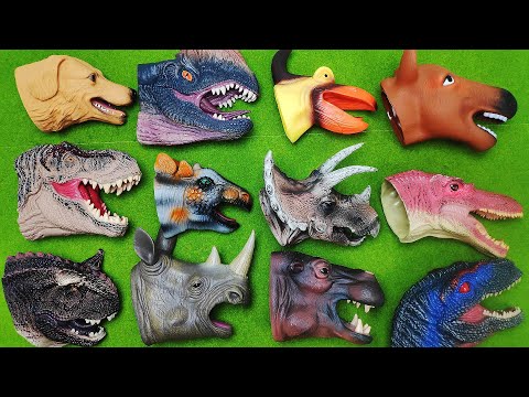 6 Dinosaur Head Disappear! Dino Lego Transformer Real Dinosaur. T-Rex, Triceratops