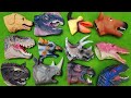 6 Dinosaur Head Disappear! Dino Lego Transformer Real Dinosaur. T-Rex, Triceratops