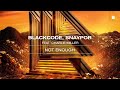 Blackcode, SNAYPOR feat. Charlie Miller - Not Enough