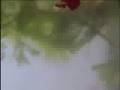 Nine Inch Nails - Thing Falling Apart Commercial ...