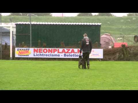 Svein E Jacobsen N Canine For Use Bitch afd C